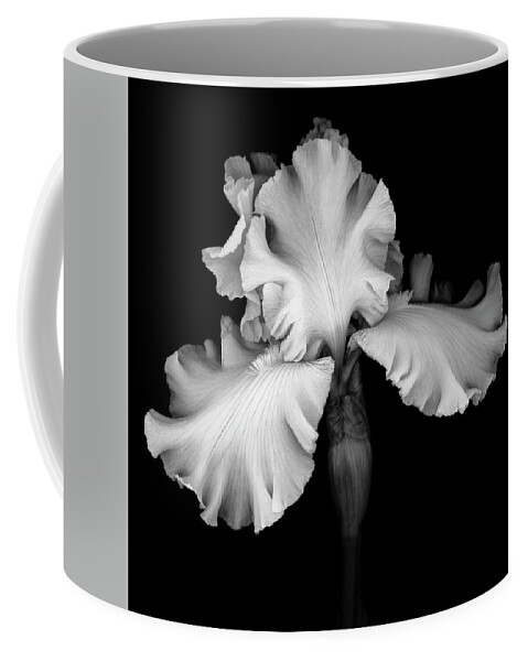 Black Coffee Mug featuring the photograph White Iris by Oscar Gutierrez