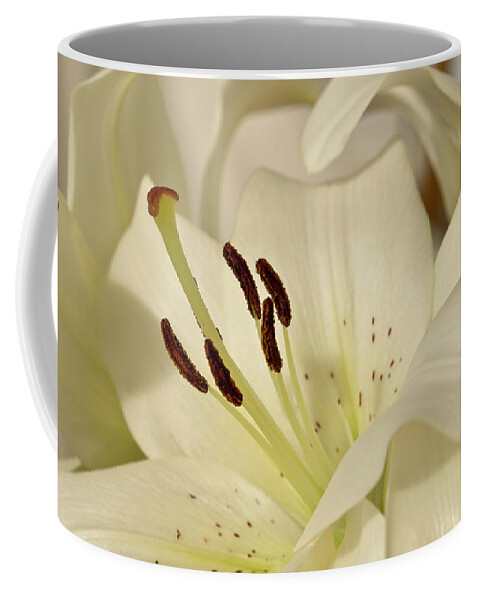 Lily Coffee Mug featuring the photograph White Lily 3 by Elena Perelman