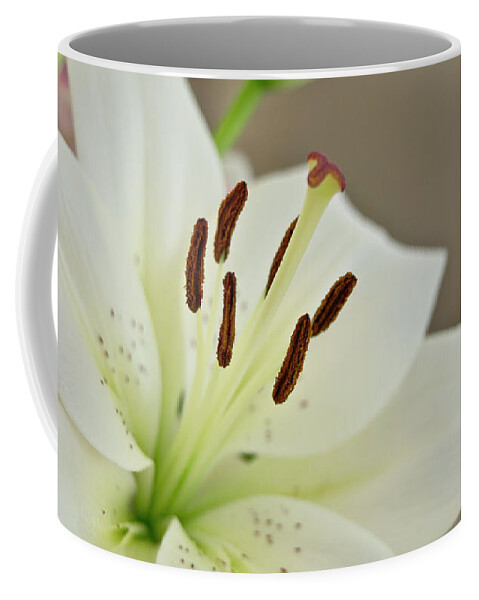 Trinity Coffee Mug featuring the photograph White Lily 4 by Elena Perelman