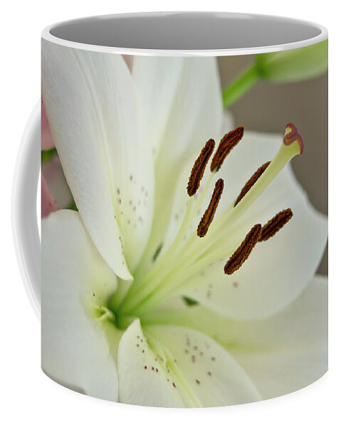 Humility Coffee Mug featuring the photograph White Lily 5 by Elena Perelman