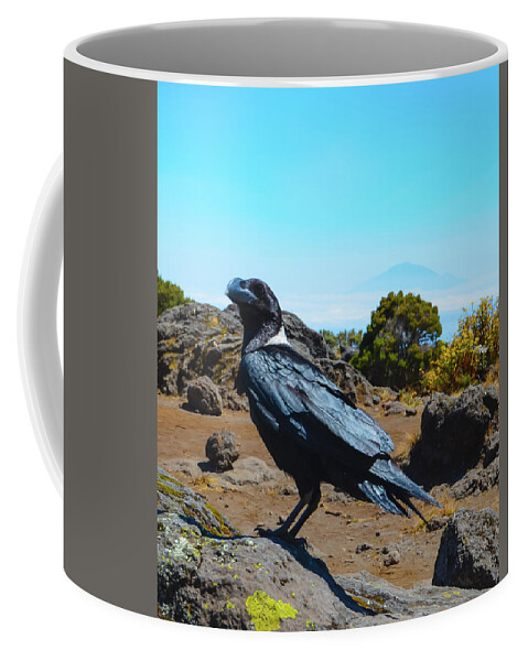 Africa Coffee Mug featuring the photograph White-Necked Raven Overlooking Mount Meru by Jeff at JSJ Photography