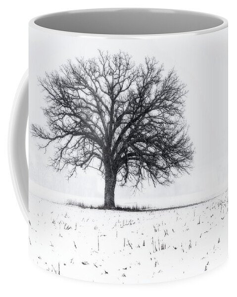 Oak Snow Blizzard Snowstorm Winter White Corn Stubble Solitary Sentinel Tree Horizontal Wi Wisconsin Landscape Winterscape B&w Black And White Coffee Mug featuring the photograph Fade to White - An isolated oak in corn stubble field with snowstorm by Peter Herman