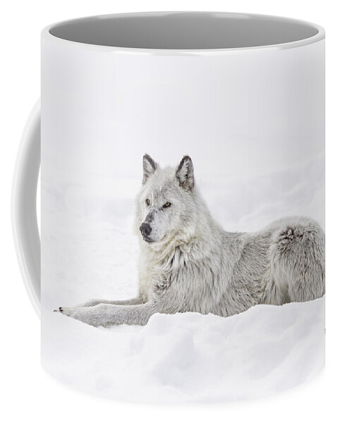 Wolf Coffee Mug featuring the photograph White on White by Peg Runyan