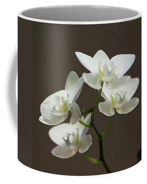 Orchids Coffee Mug featuring the photograph White Orchids On Silk by Leanne Lei