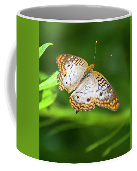 Animal Coffee Mug featuring the photograph White Peacock Butterfly 5252 by Ginger Stein