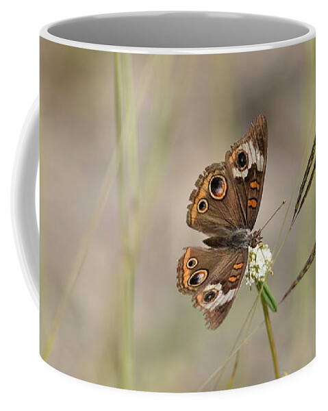 Butterfly Coffee Mug featuring the photograph Buckeye Butterfly Resting On White Flowers - Horizontal by Artful Imagery