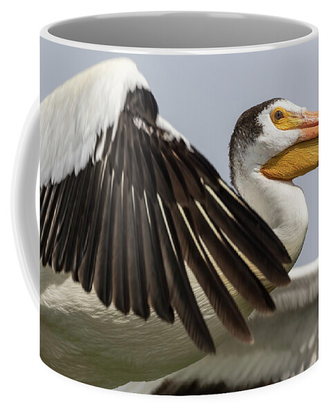 American White Pelican Coffee Mug featuring the photograph White Pelican 2016-3 by Thomas Young