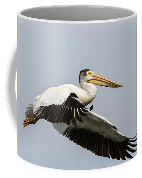 American White Pelican Coffee Mug featuring the photograph White Pelican 2016-4 by Thomas Young