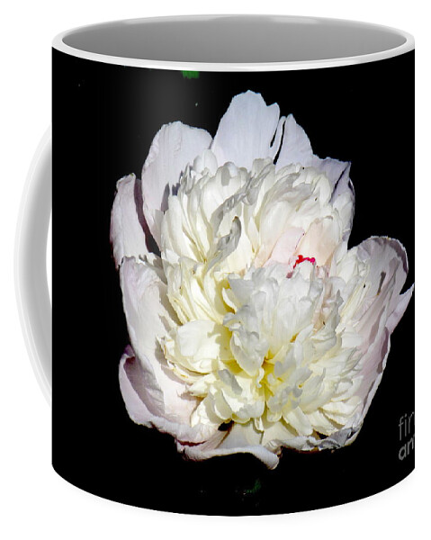 Photograph Coffee Mug featuring the photograph White Peony II by Delynn Addams