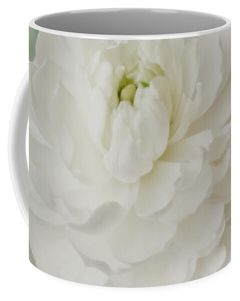 Ranunculus Coffee Mug featuring the photograph White Ranunculus by Sandra Foster