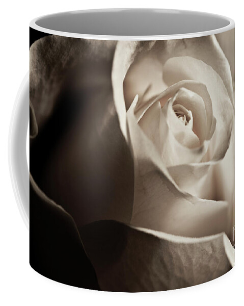 White Rose Coffee Mug featuring the photograph White Rose in sepia 2 by Micah May
