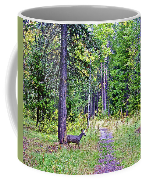 White-tailed Deer In Grand Tetons National Park Coffee Mug featuring the photograph White-tailed Deer in Grand Tetons National Park, Wyoming by Ruth Hager