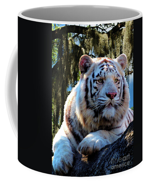 Photo Coffee Mug featuring the photograph White Tiger by Ken Frischkorn