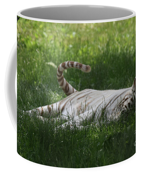 Tiger Coffee Mug featuring the photograph White Tiger Swinging His Tail as He Rests in Grass by DejaVu Designs