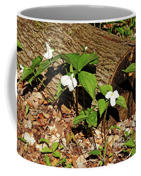 Trilliums Coffee Mug featuring the photograph White Trilliums by Debbie Oppermann