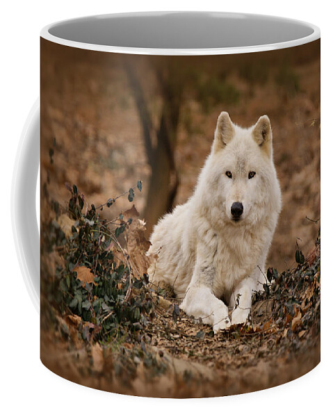 Wolf Coffee Mug featuring the photograph White Wolf by Sandy Keeton
