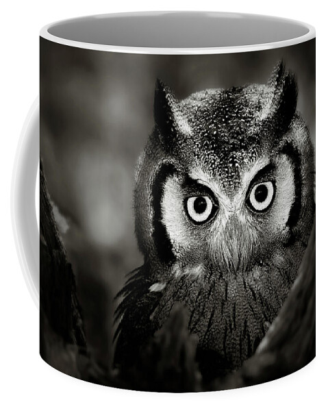 Africa Coffee Mug featuring the photograph Whitefaced Owl by Johan Swanepoel