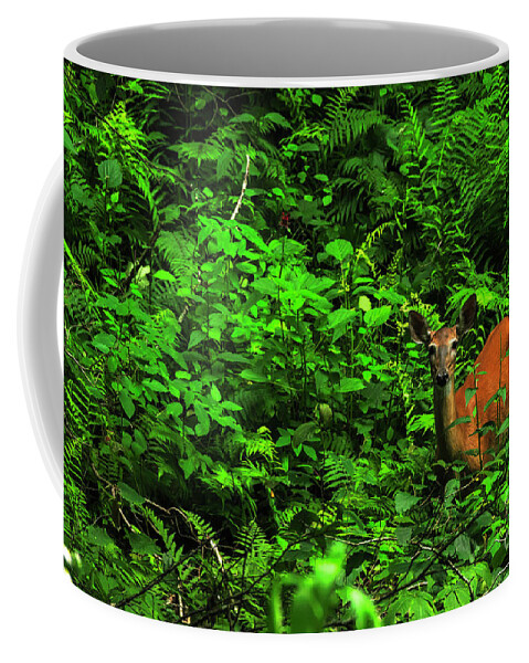 Summer Coffee Mug featuring the photograph Whitetail Doe in Ferns by Thomas R Fletcher