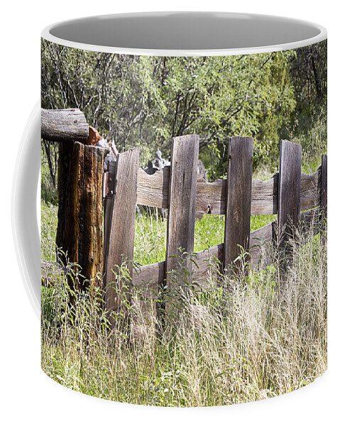 Fence Coffee Mug featuring the photograph Who Ate The Fence by Phyllis Denton