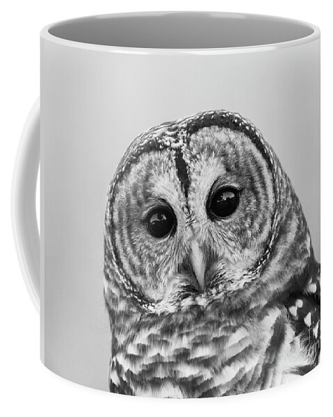 Barred Owl Coffee Mug featuring the photograph Who Cooks For You? by Chris Scroggins