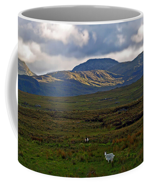 Fine Art Photography Coffee Mug featuring the photograph Who You Lookin' At by Patricia Griffin Brett
