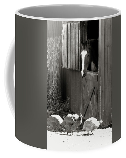 Horse Coffee Mug featuring the photograph Why Did the Guinea Hen Cross the Road - sepia by Angela Rath