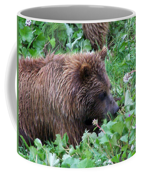 Denali National Park Coffee Mug featuring the photograph Wild Bear Eating Berries by Kathy White
