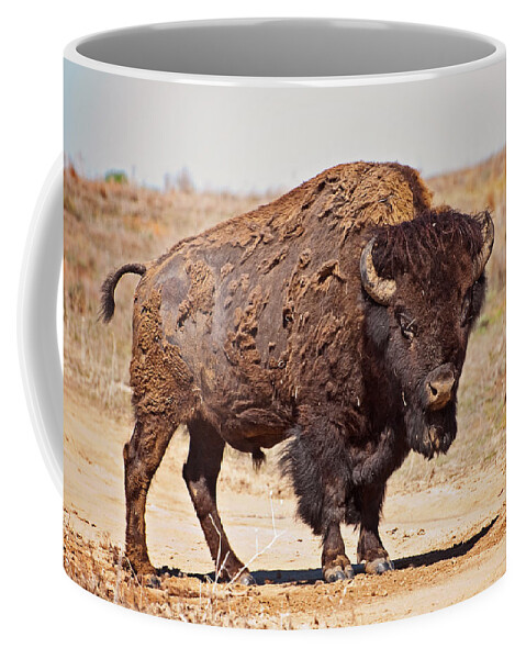Wild Coffee Mug featuring the photograph Wild Bison by Donna Doherty