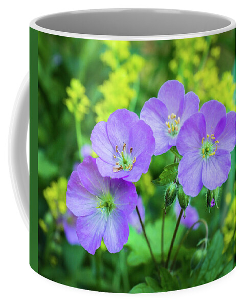 Wildflower Coffee Mug featuring the photograph Wild Geranium Family Portrait by Bill Pevlor