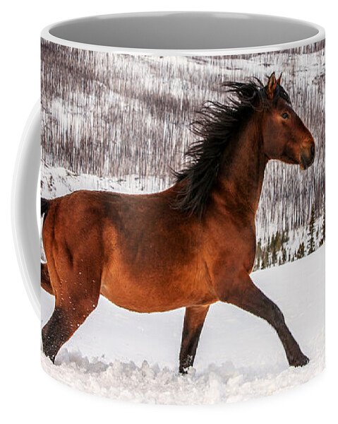 #faatoppicks Coffee Mug featuring the photograph Wild Horse by Todd Klassy
