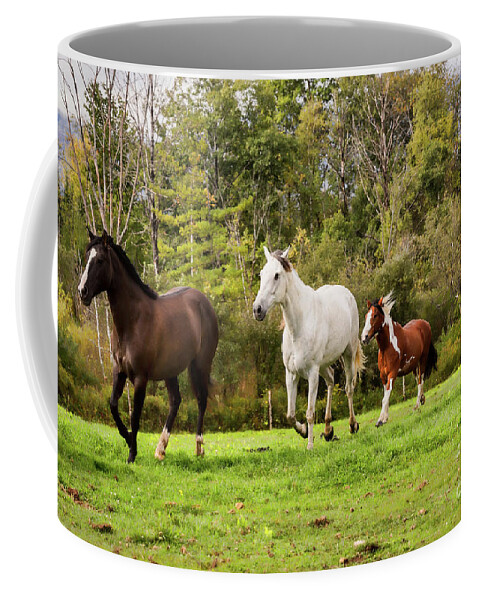 Wild Horses Coffee Mug featuring the photograph Wild Horses Running Free Print by JBK Photo Art