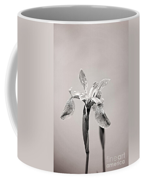 Wild Iris Photo Coffee Mug featuring the photograph Wild Iris Black and White Print by Gwen Gibson