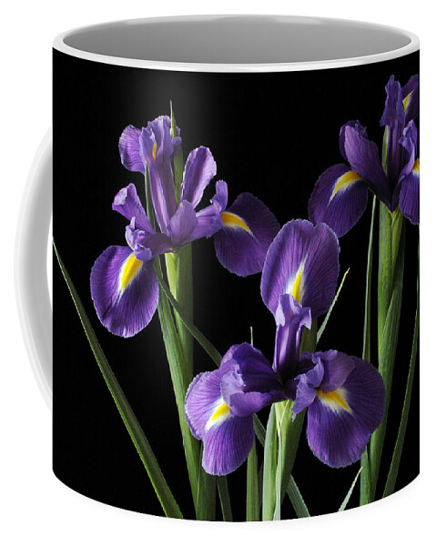 Iris Coffee Mug featuring the photograph Wild Iris by Nancy Griswold