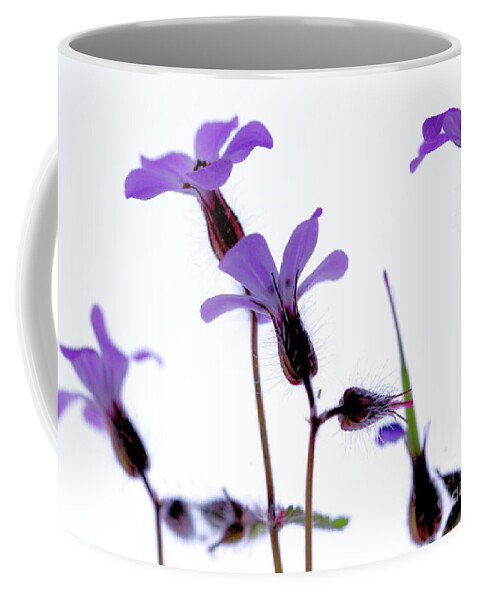 Macro Coffee Mug featuring the photograph Wild Knotted Cranesbill by Stephen Melia