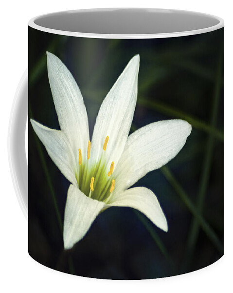 Lily Coffee Mug featuring the photograph Wild Lily by Carolyn Marshall