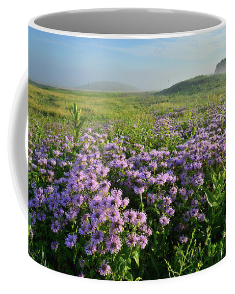 Black Eyed Susan Coffee Mug featuring the photograph Wild Mints Galore in Glacial Park by Ray Mathis