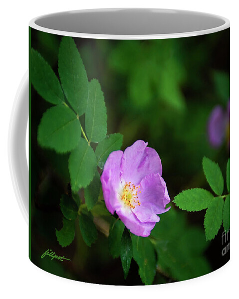 Wild Rose Coffee Mug featuring the photograph Wild Rose by Bon and Jim Fillpot