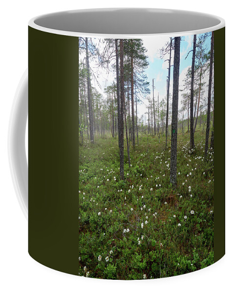 Finland Coffee Mug featuring the photograph Wild Rosemary morass by Jouko Lehto