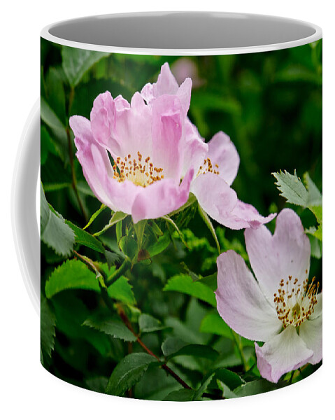 Wild Roses Coffee Mug featuring the photograph Wild Roses. Andante.. by Elena Perelman
