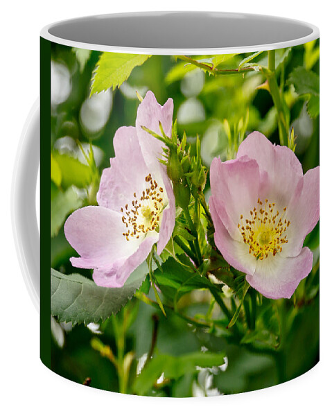 Wild Roses Coffee Mug featuring the photograph Wild Roses. Duo. by Elena Perelman