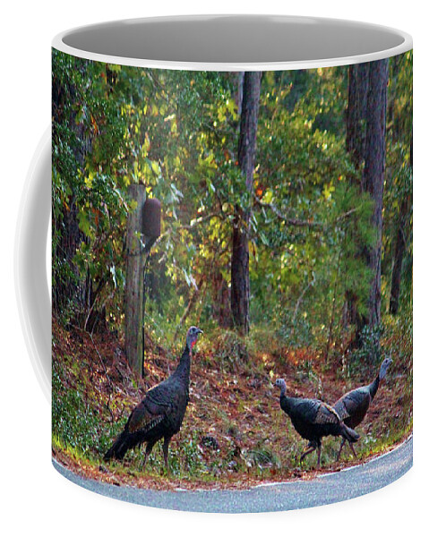 Bird Coffee Mug featuring the photograph Wild Turkeys by Cynthia Guinn