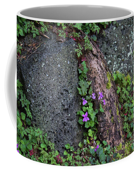 Wildflowers Coffee Mug featuring the photograph Wild Violets by Patricia Babbitt