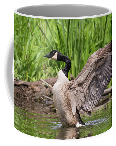 Bird Coffee Mug featuring the photograph Wild Wings by Jody Partin