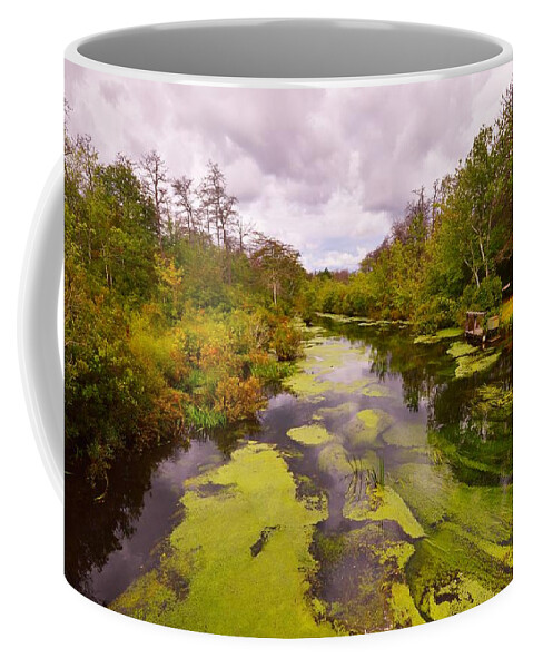 Featured Coffee Mug featuring the photograph Wilderness Creek in the Autumn Woods by Stacie Siemsen