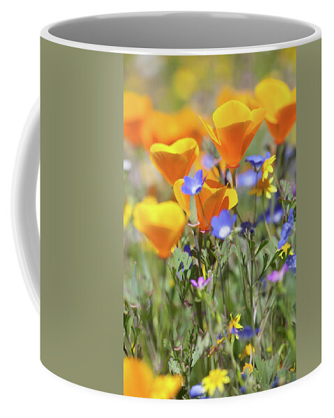 Poppies Coffee Mug featuring the photograph Wildflower Detail by Cliff Wassmann