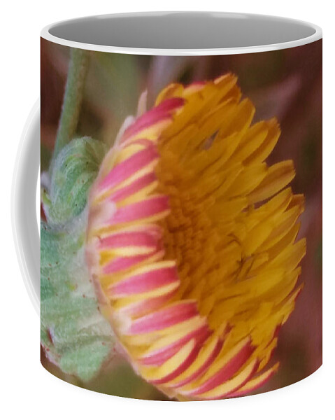 Wildflower Coffee Mug featuring the photograph Wildflower by Nilu Mishra