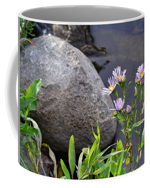 Wildflowers Coffee Mug featuring the photograph Wildflowers by a Stream by Kae Cheatham
