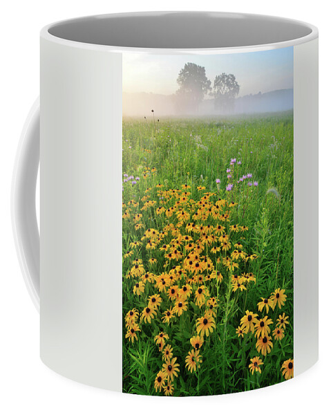 Glacial Park Coffee Mug featuring the photograph Wildflowers of West Glacial Park at Sunrise by Ray Mathis