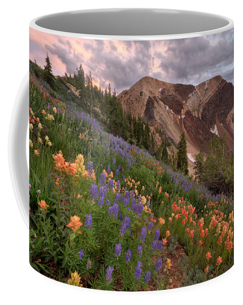 Landscape Coffee Mug featuring the photograph Wildflowers with Twin Peaks at Sunset by Brett Pelletier