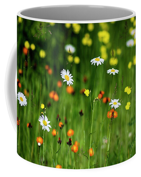  Coffee Mug featuring the photograph Wildflowers2 by Dan Hefle